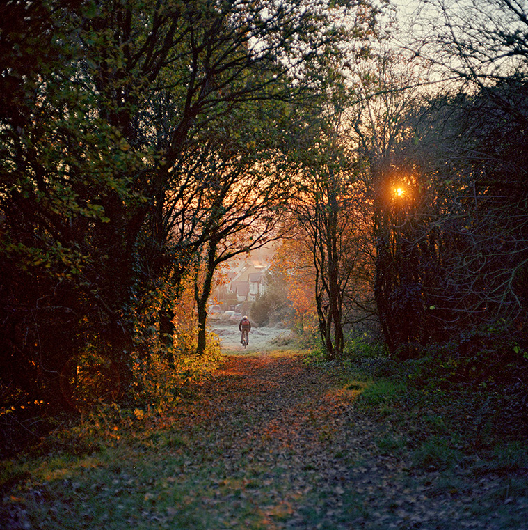 Commute through the forest